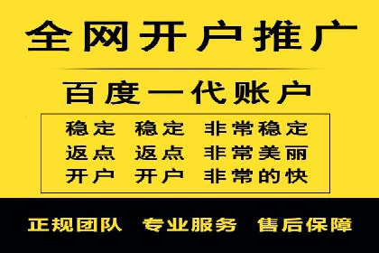 竞价端口开户后的广告投放策略案例